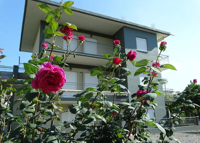 Stavi Apartments 2