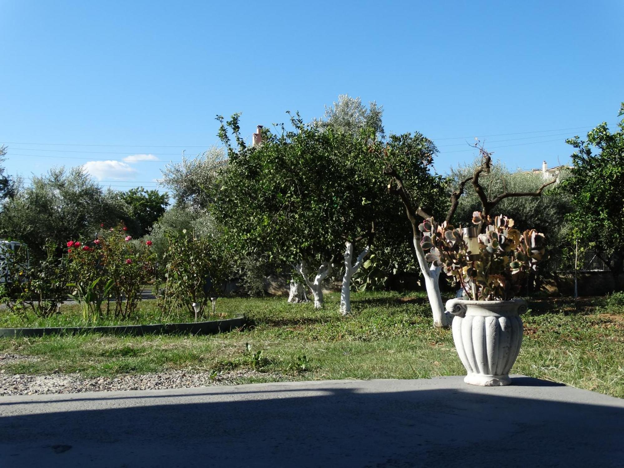 Stavi 2 Kalamata